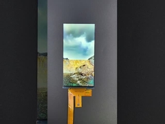 6 ιντσών 1080*2160 Ανάλυση LCD tft module MIPI Interface Driving IC HX8399C