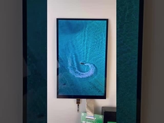 10.1 ίντσες τύπου ράβδου TFT 1200*1920 Ανάλυση MIPI Διασύνδεση 1000cd/M2