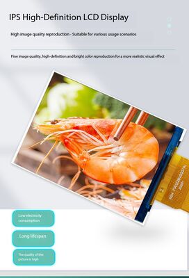 2.88 Inch TFT Display 480X(RGB)*640 Resolution,MIPI 2L/RGB 16BIT Interface, Driving IC GC9503V,Lightness 400 6LEDS ALL view angle